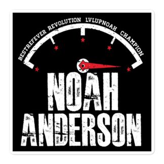 LvlUpNoah "Noah Anderson (Needle Mover)" Bubble-free stickers