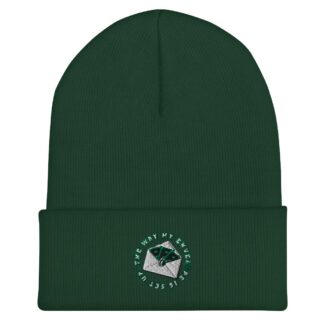 Paragon "The Way My Envelope Is Set Up" Cuffed Beanie