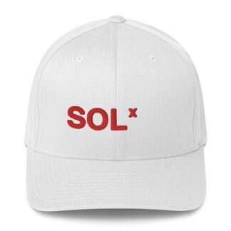 That Sol Guy "Thank You" Flexfit Cap