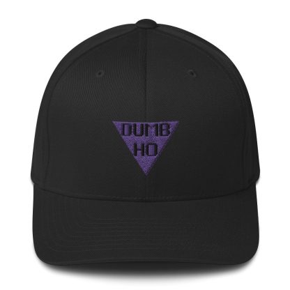 Anton Voorhees "Dumb Ho" Flexfit Cap