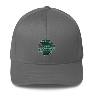 Chaotic Combat Wrestling "Chaotic Combat logo" Flexfit Cap
