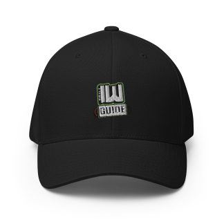 Indie Wrestling Guide "IWGuide 2024 logo" Flexfit Cap