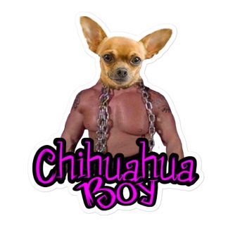 Wrestling With Maverick "Chihuahua Boy" Bubble-free stickers