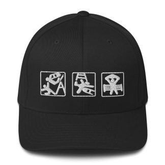 Indie Wrestling Guide "Ladder Match" Flexfit Cap