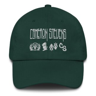 Cameron Stevens "Led Zeppelin Parody" Dad hat
