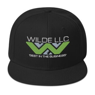 Dylan Mesh "Wilde LLC Logo" Snapback Hat